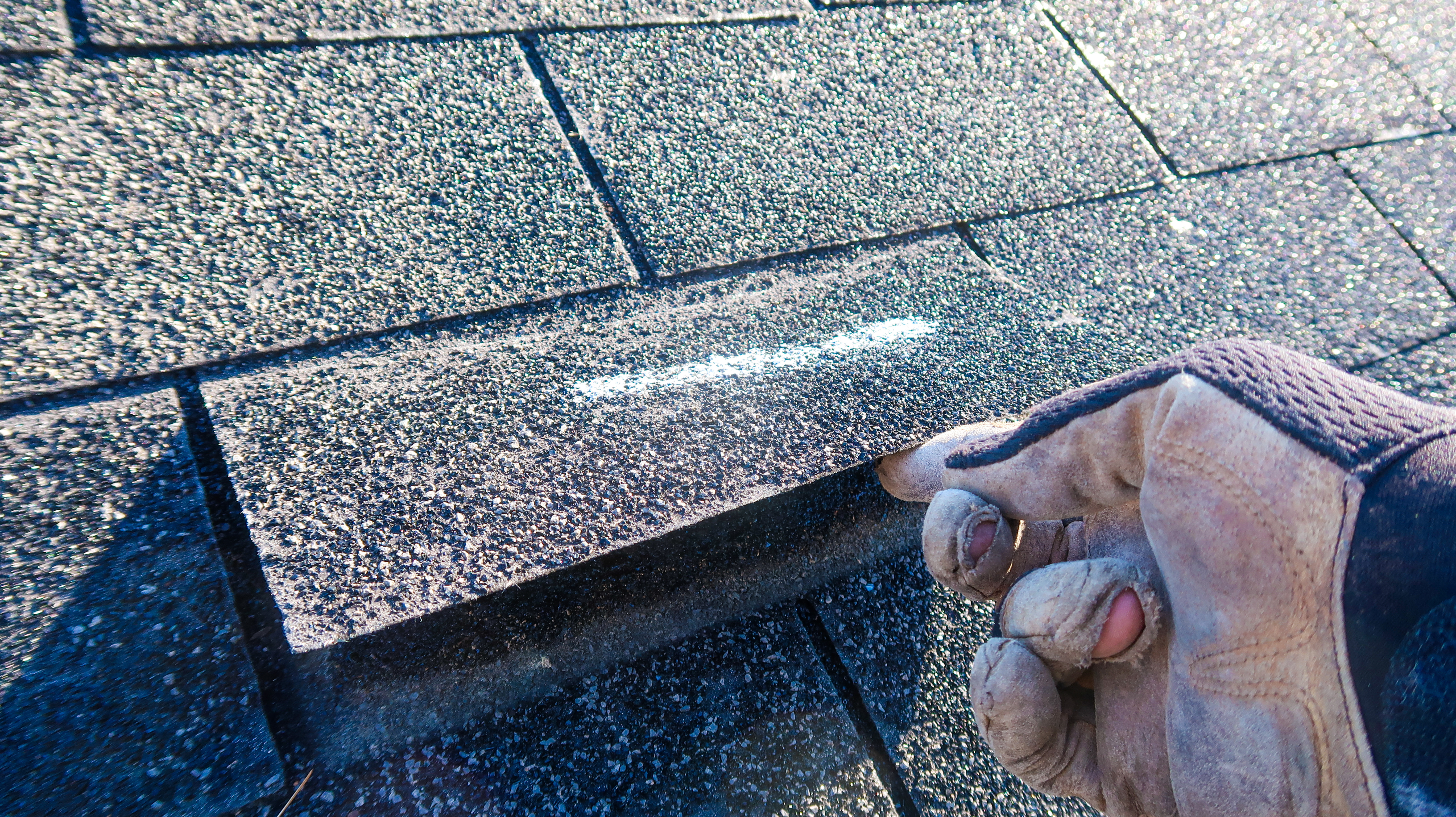 Roofing contractor inspecting under shingles for early signs of roof damage during professional roof inspection
